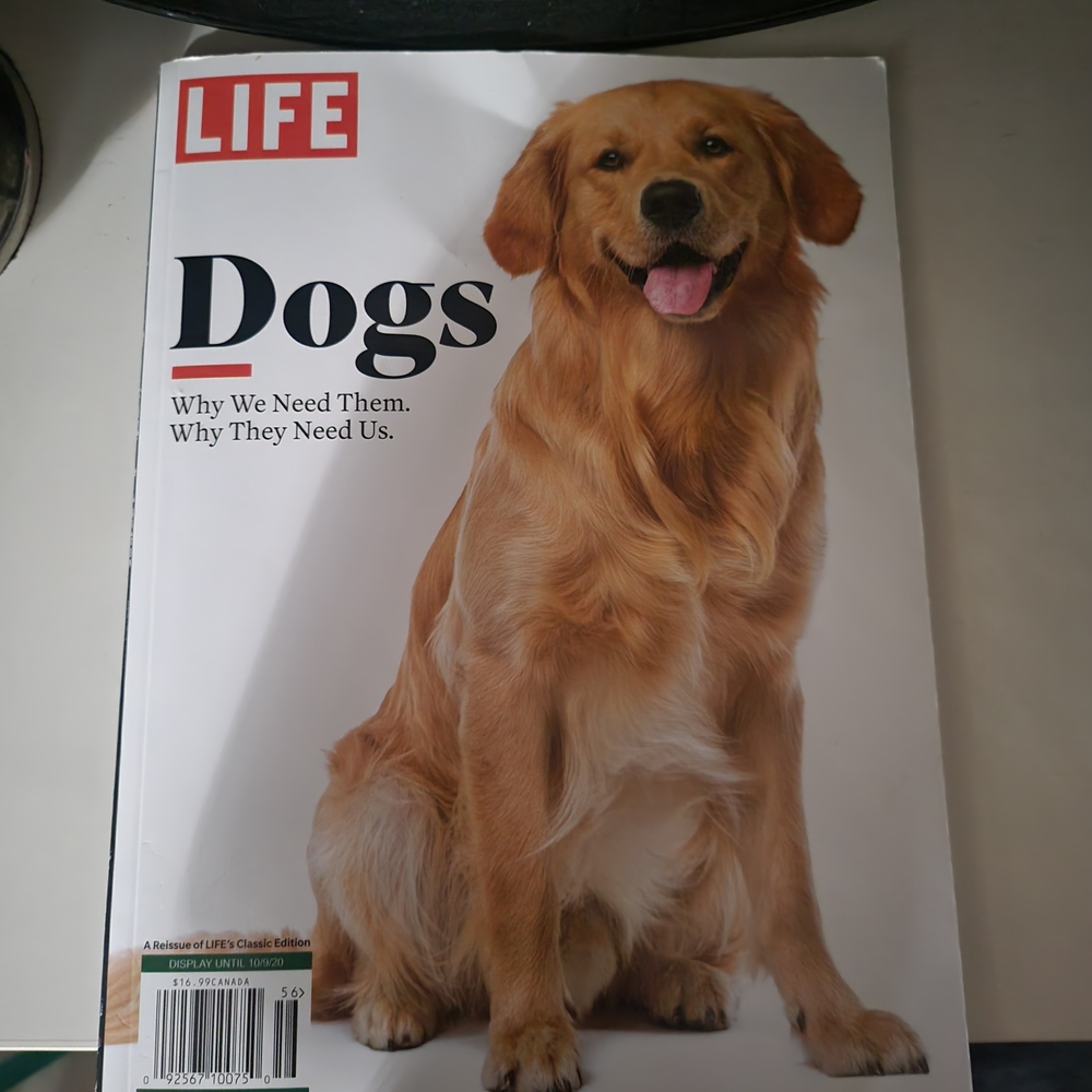 Magazine: Dogs Edition - Captivating Canine Insights